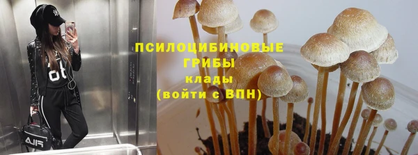 прущие крисы Алексин