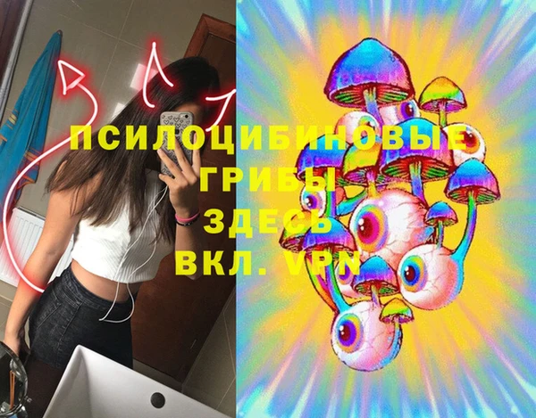 не бодяженный Арсеньев